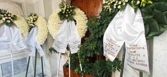 377298854_1351432732467199_5679127774487264970_n