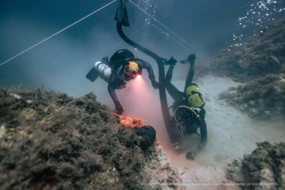 431517630_814601920713077_8985127333541580732_n